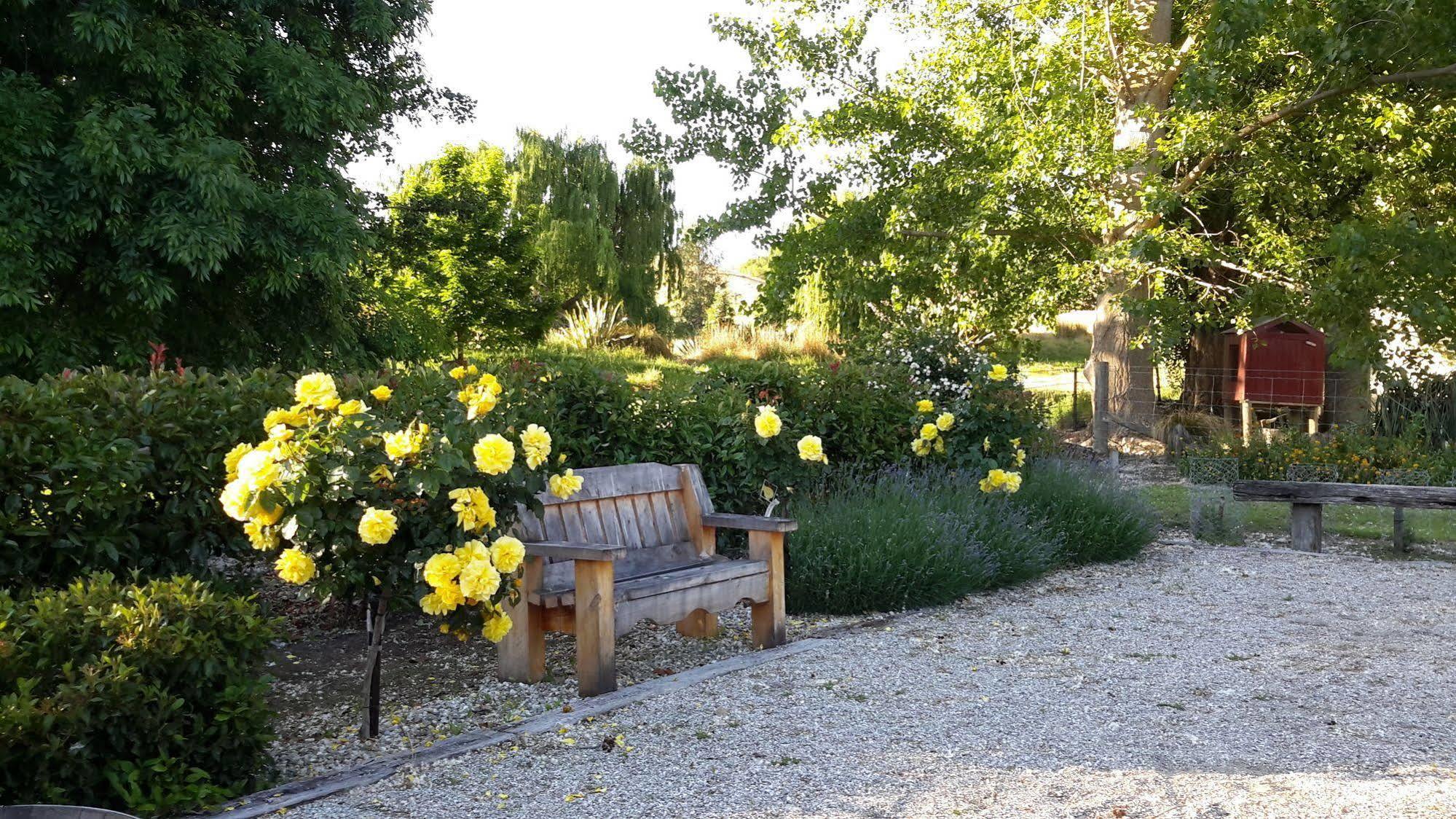 קרומוול Burn Cottage Retreat מראה חיצוני תמונה