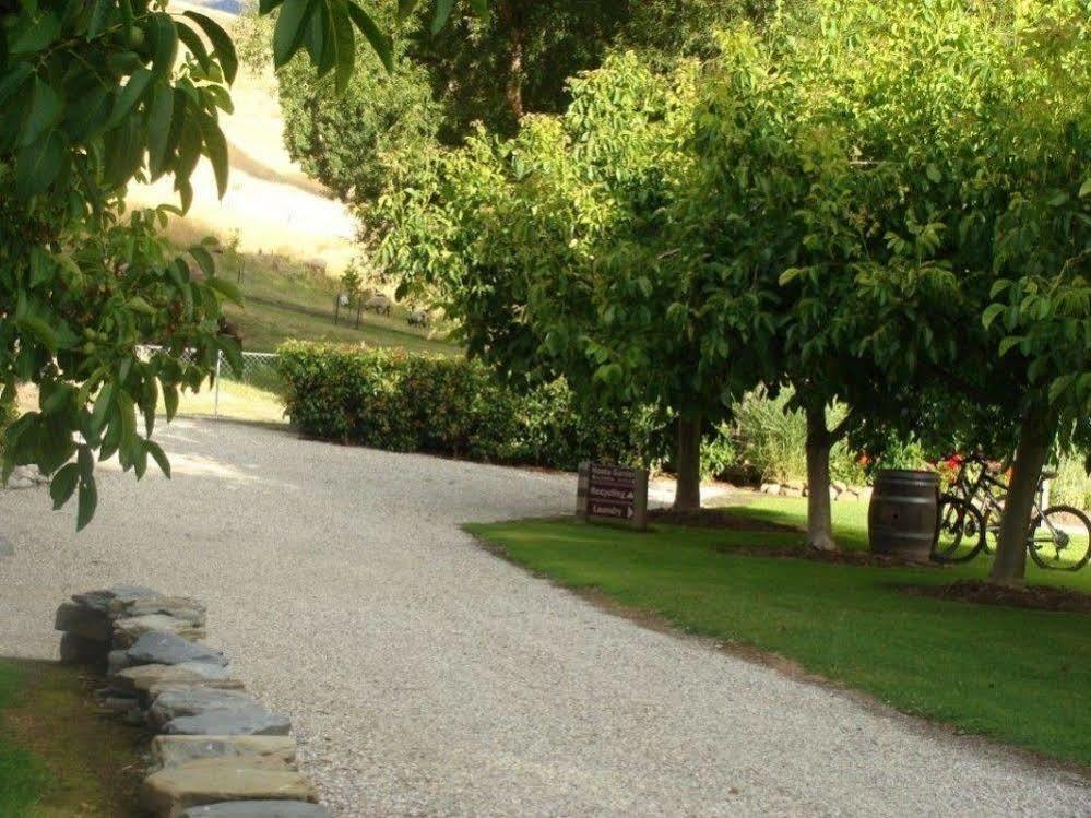 קרומוול Burn Cottage Retreat מראה חיצוני תמונה